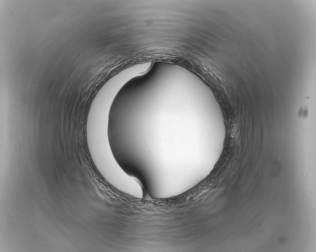 X0000093360868200711011205