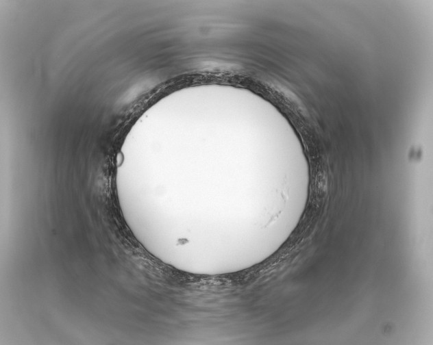 X0000093360869200711011205