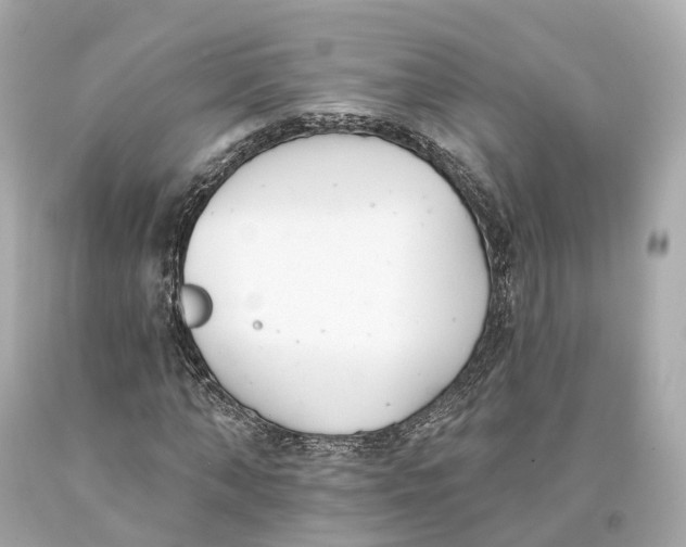 X0000093360870200711011205