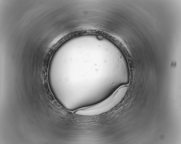 X0000093360871200711011205