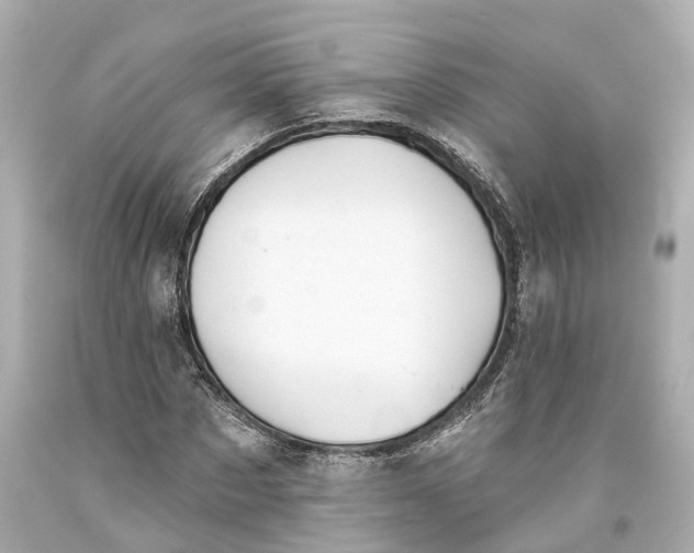 X0000093360873200711011205