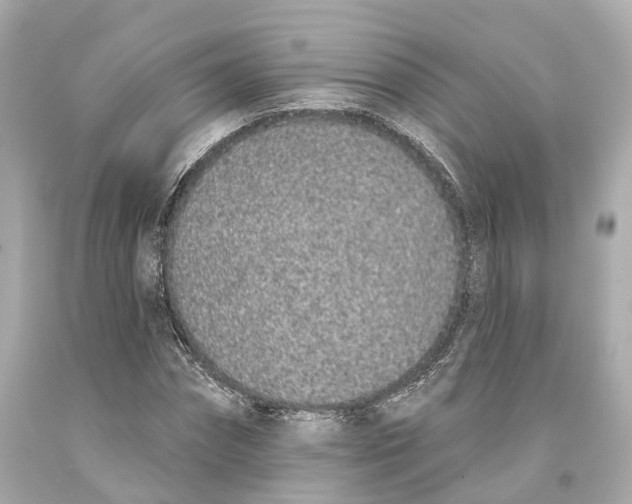 X0000093360874200711011205