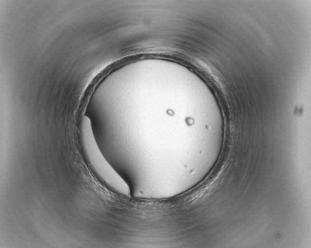 X0000093360875200711011205