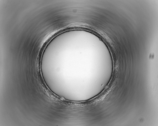 X0000093360877200711011205