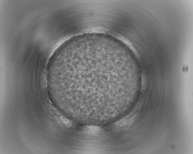 X0000093360878200711011205