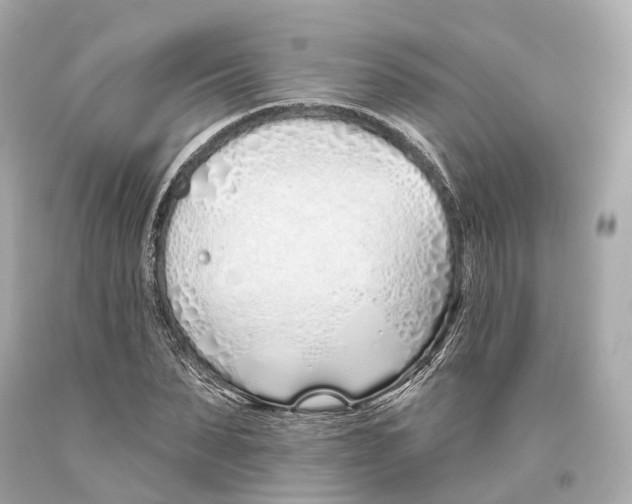 X0000093360879200711011205