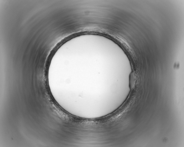 X0000093360880200711011205