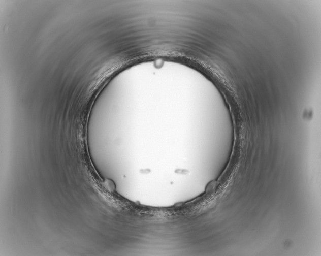 X0000093360881200711011205