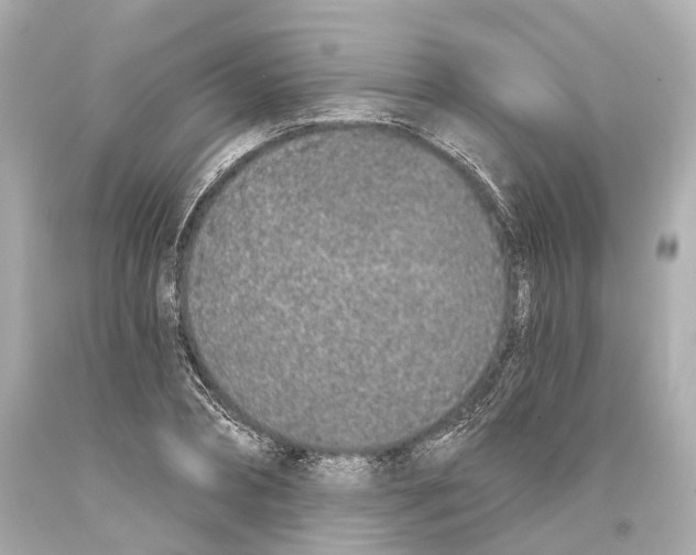 X0000093360882200711011205