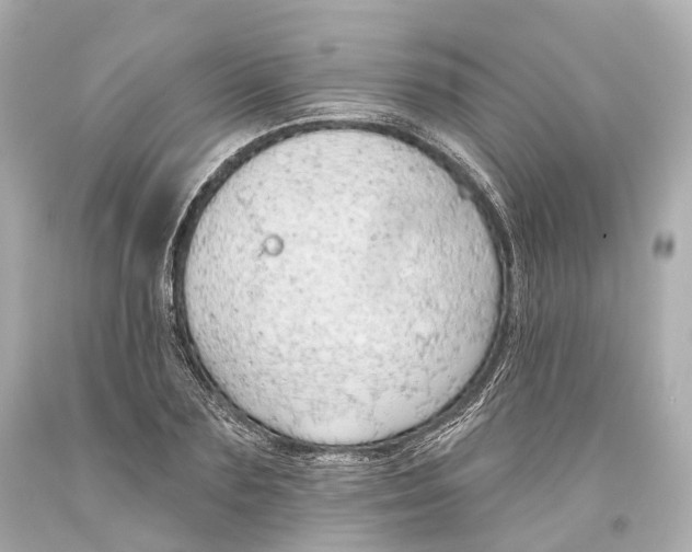 X0000093360883200711011205