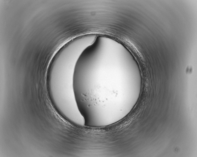 X0000093360884200711011205