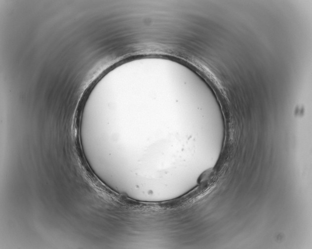 X0000093360885200711011205