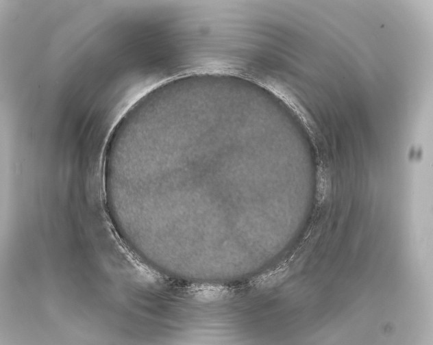 X0000093360886200711011205