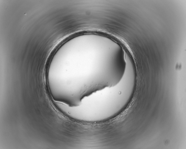 X0000093360887200711011205