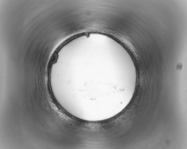 X0000093360888200711011205