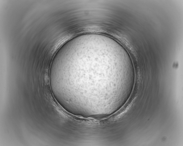 X0000093360889200711011205