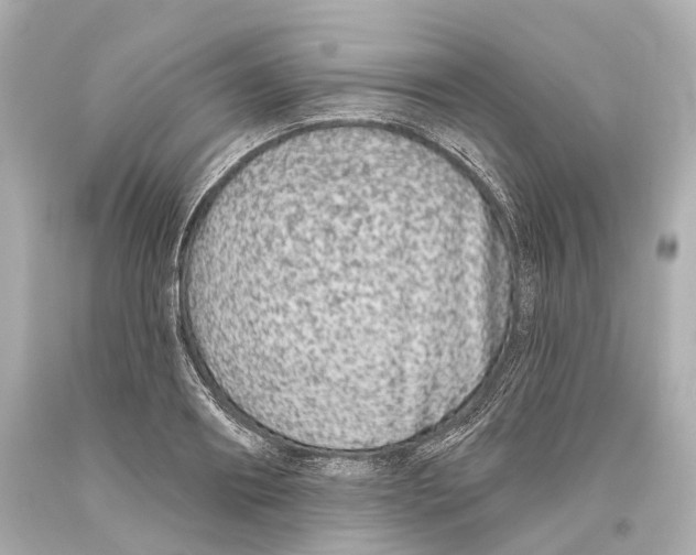 X0000093360890200711011205