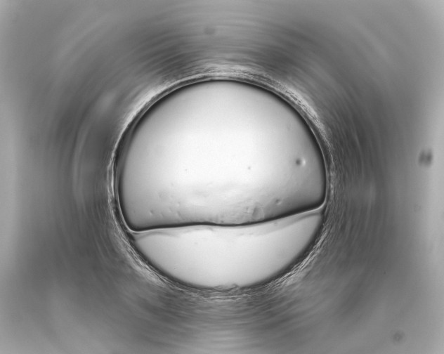 X0000093360891200711011205