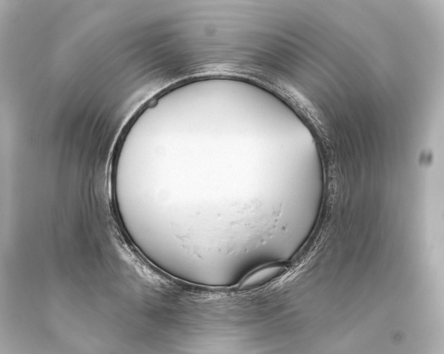 X0000093360892200711011205