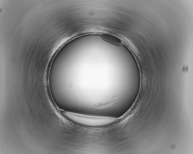 X0000093360893200711011205