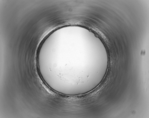 X0000093360894200711011205