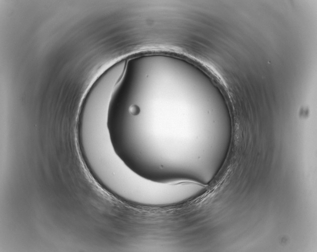 X0000093360895200711011205