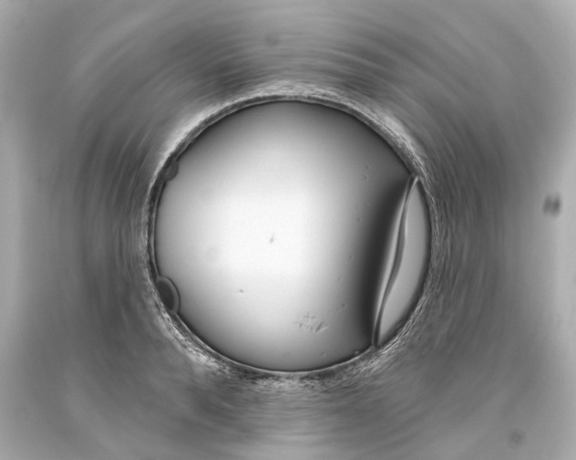 X0000093360896200711011205