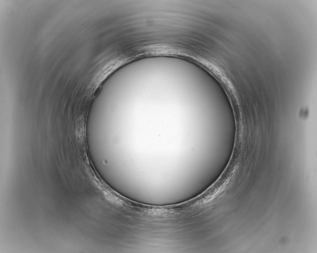 X0000093360897200711011205