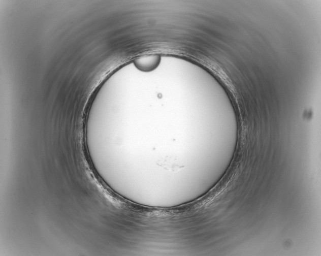 X0000093360898200711011205