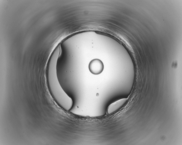 X0000093360899200711011205