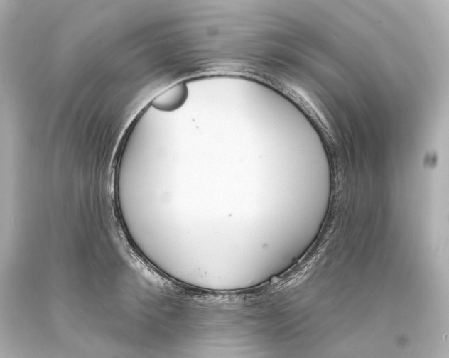 X0000093360900200711011205