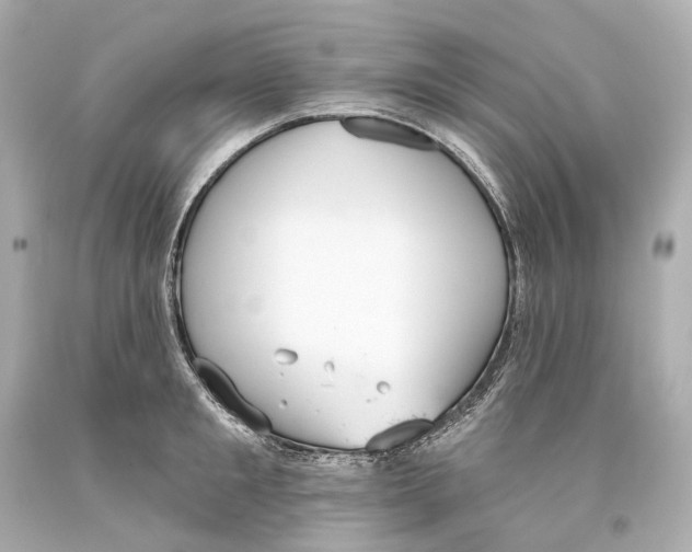 X0000093360901200711011205