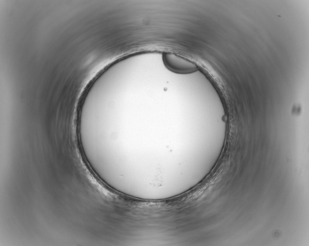 X0000093360902200711011205