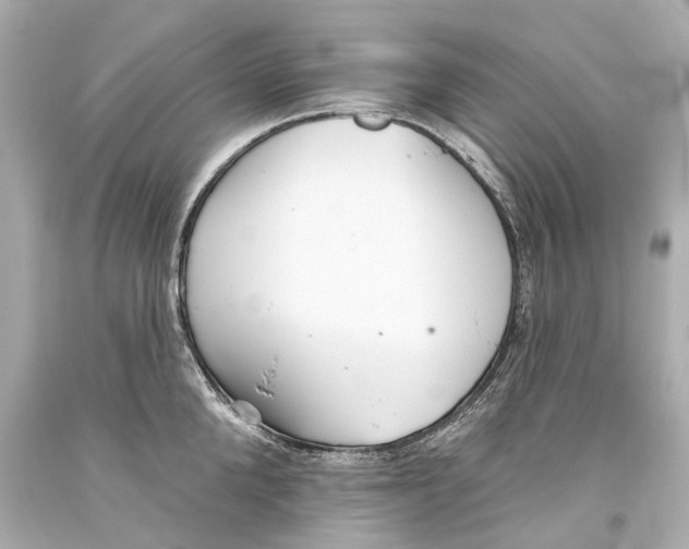 X0000093360904200711011205