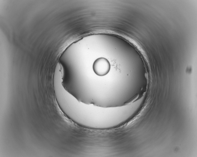 X0000093360905200711011205