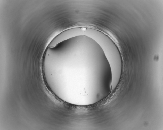 X0000093360907200711011205