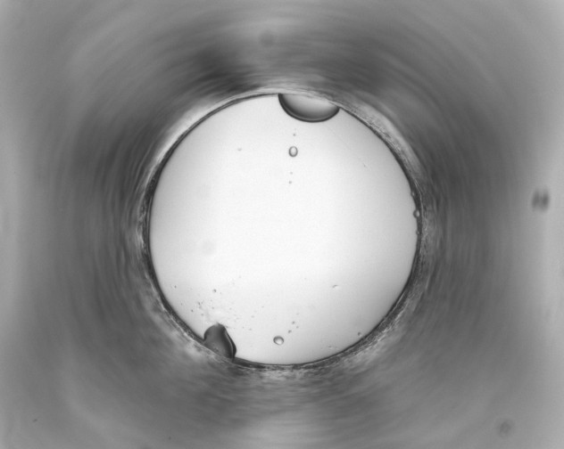 X0000093360908200711011205