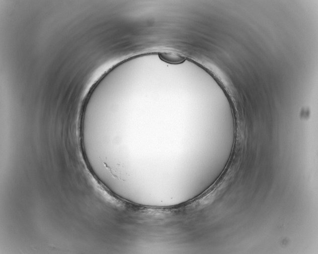 X0000093360910200711011205