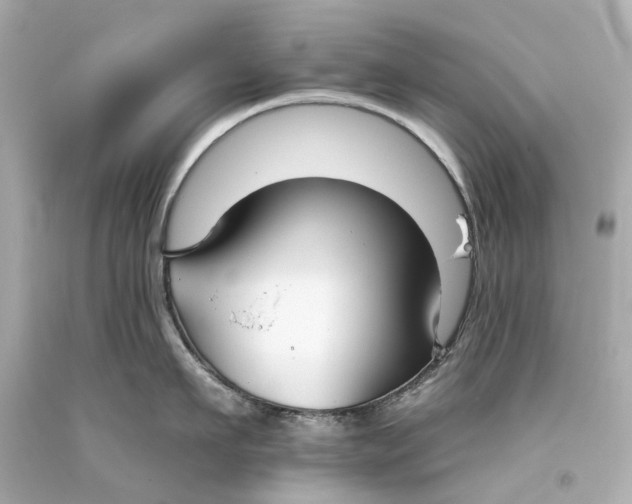 X0000093360911200711011205