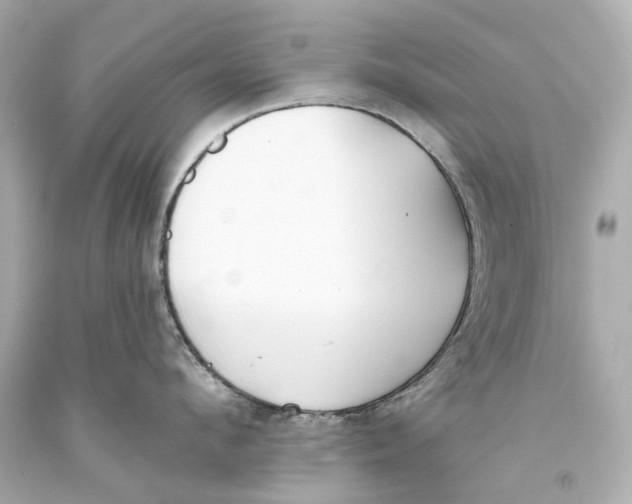 X0000093360912200711011205