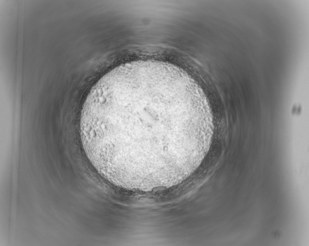 X0000093360913200711011204