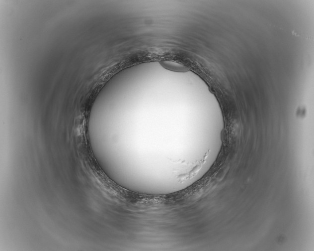 X0000093360914200711011204