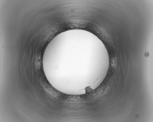 X0000093360915200711011204