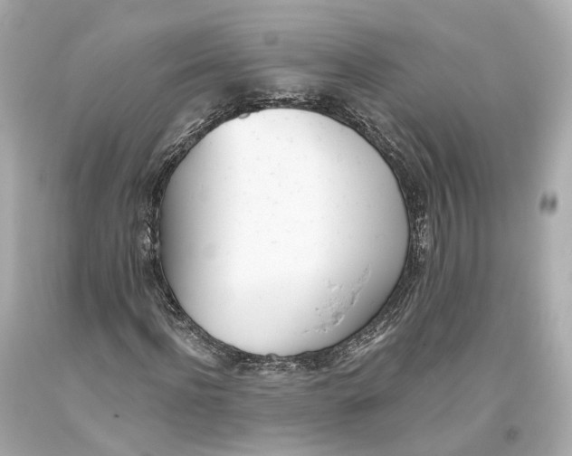 X0000093360916200711011204