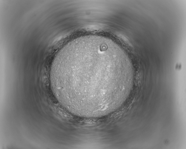 X0000093360917200711011204