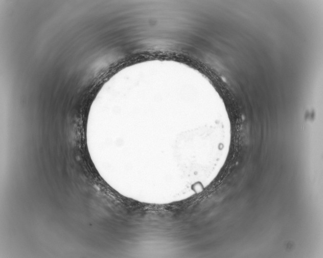 X0000093360918200711011204