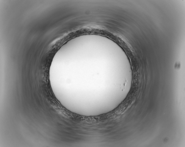 X0000093360919200711011204