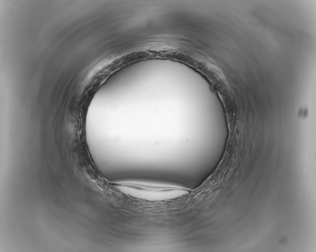 X0000093360920200711011204