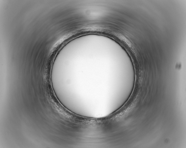 X0000093360922200711011204