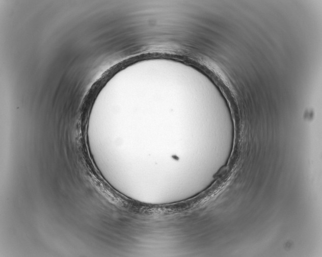 X0000093360923200711011204